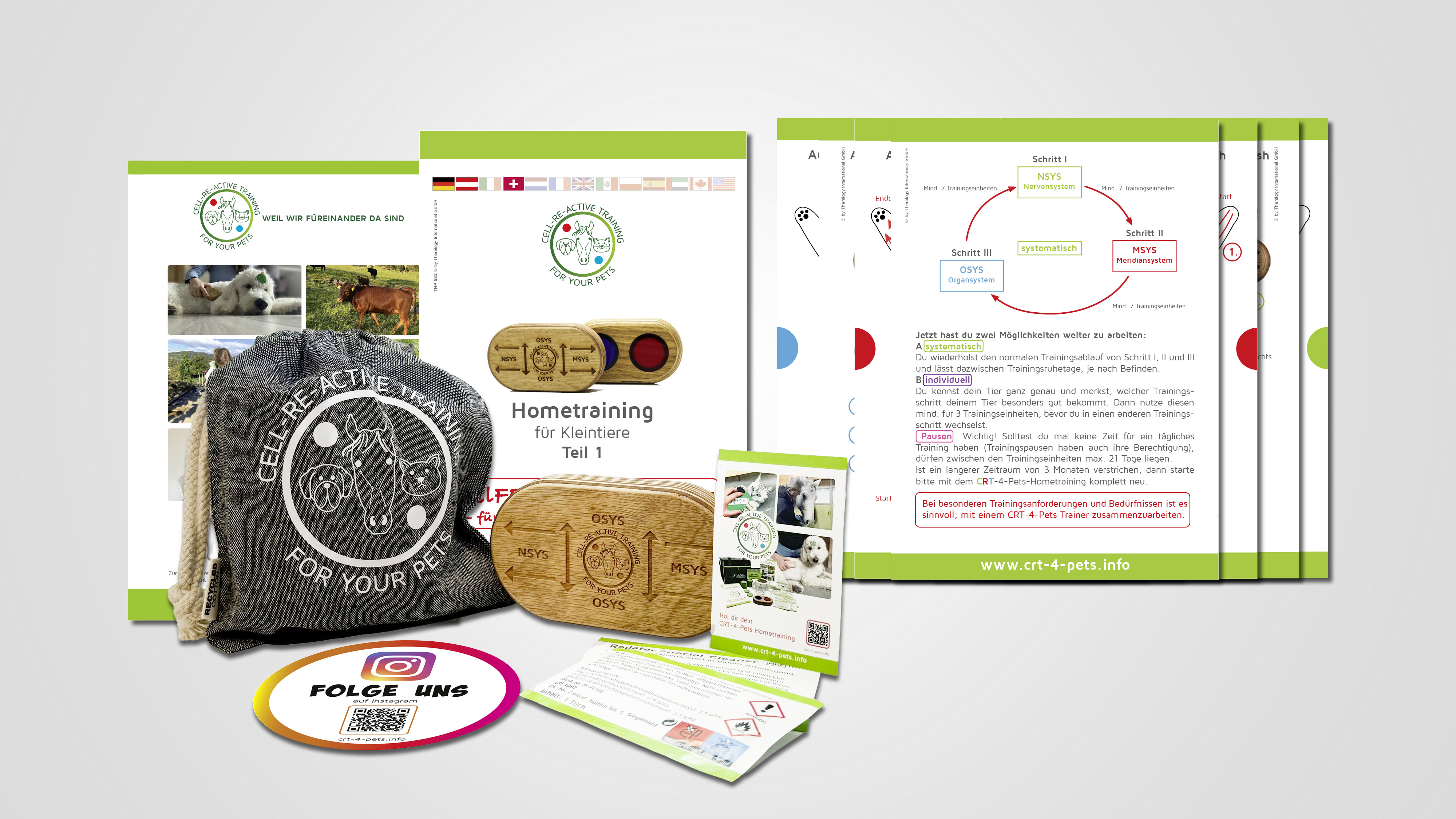 Home Set 4 Pets M - Teil 1